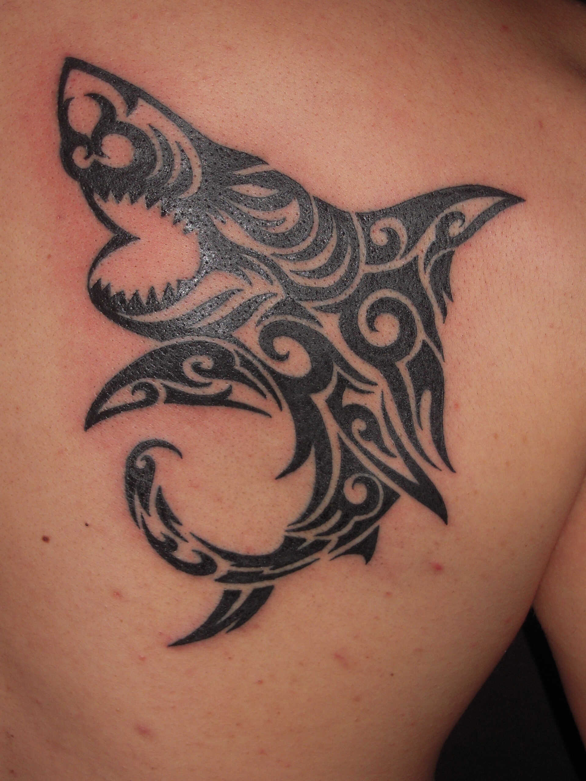 サメのトライバル